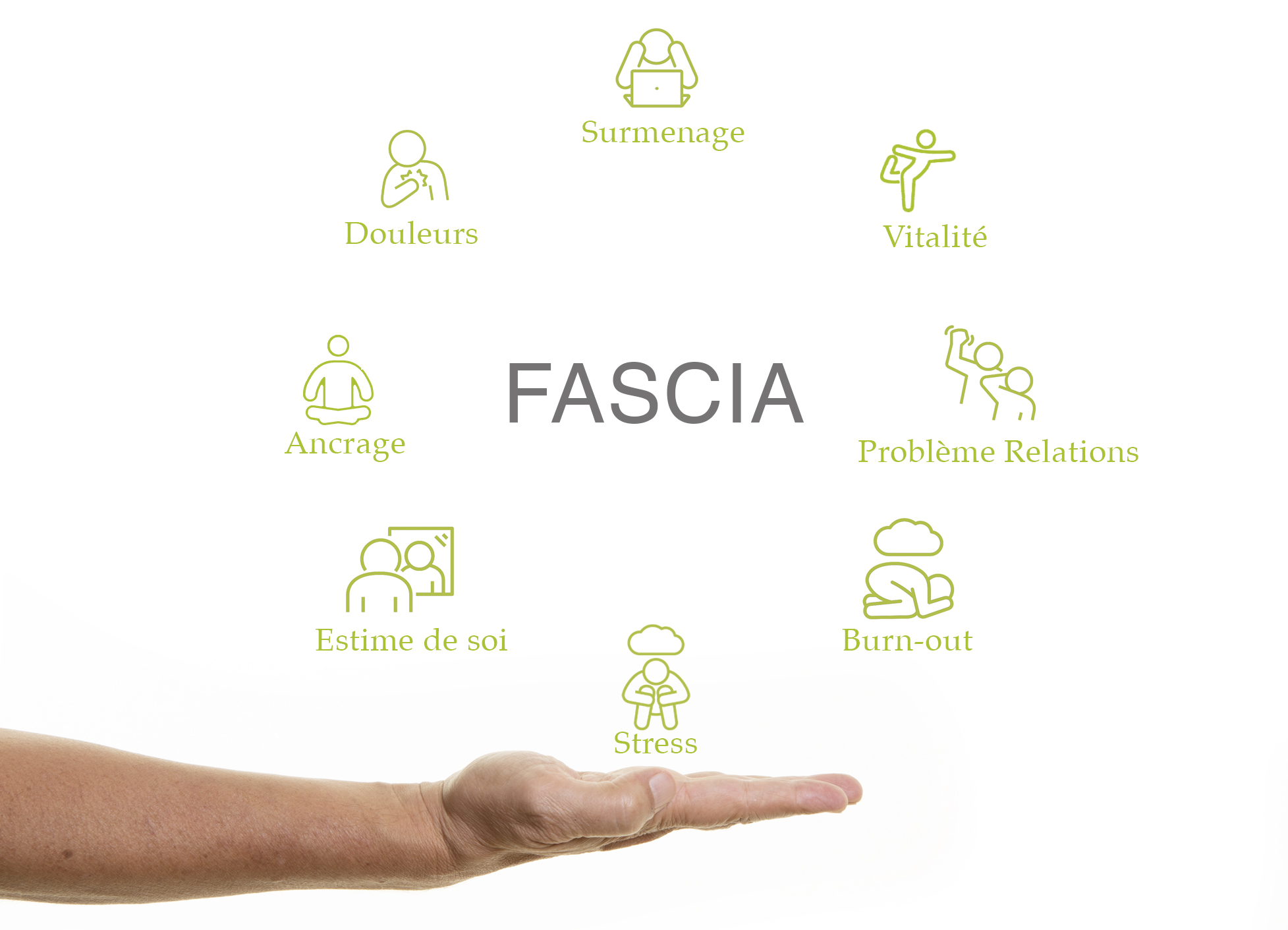 Fascia 1