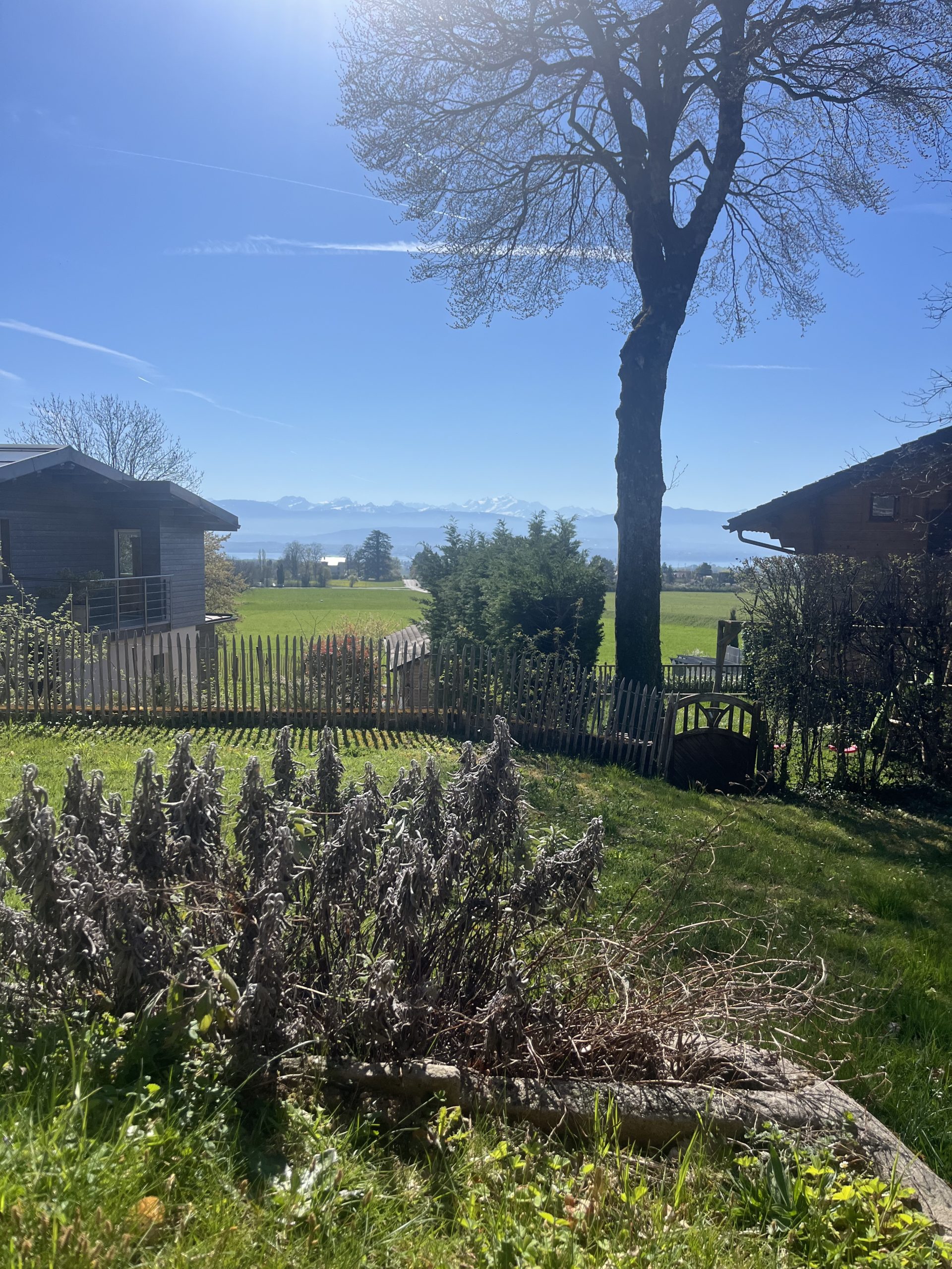 Morgane Dody - tableau Silent Rebel par Virginie Probst